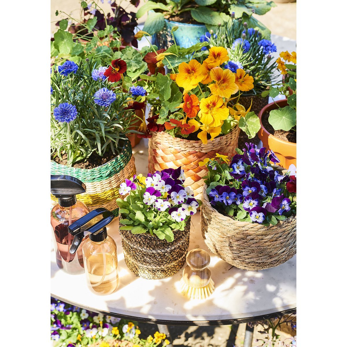 Jorck Pflanzkorb – 3er-Set – H24 x Ø26 cm – Seegras – Hellbraun