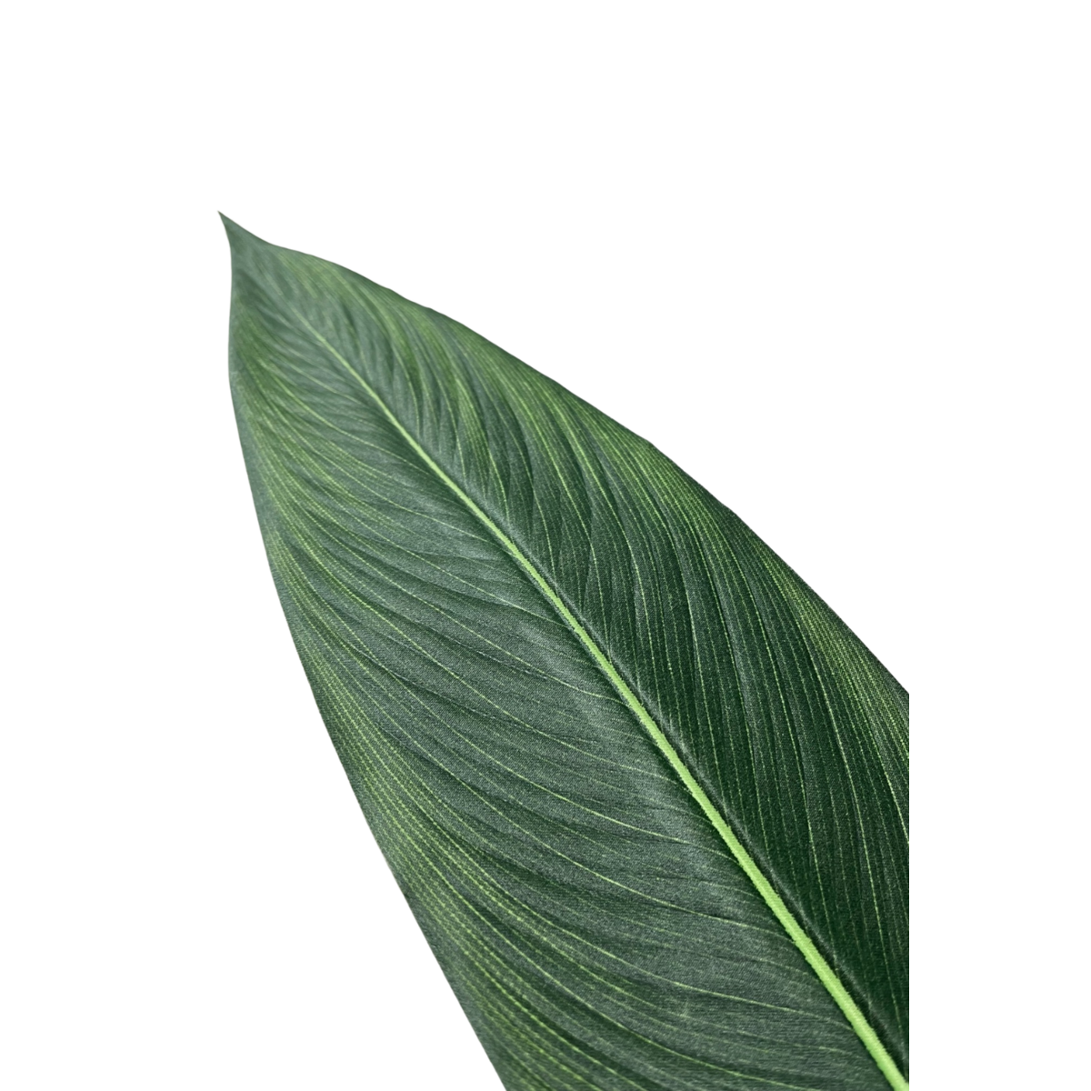 Künstliche Strelitzia-Pflanze mit Blüte, 210 cm