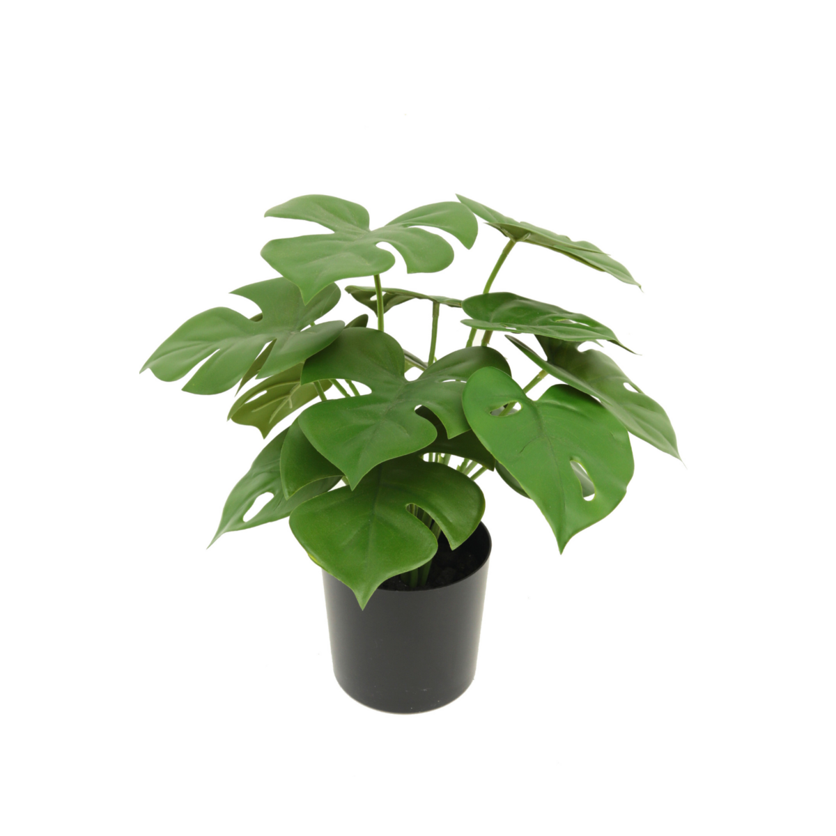 Monstera Madness - Künstliches Pflanzenpaket