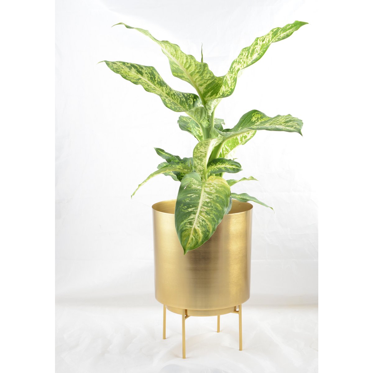 CACHE POT GOLD GROSSES MODELL 25X25X35CM