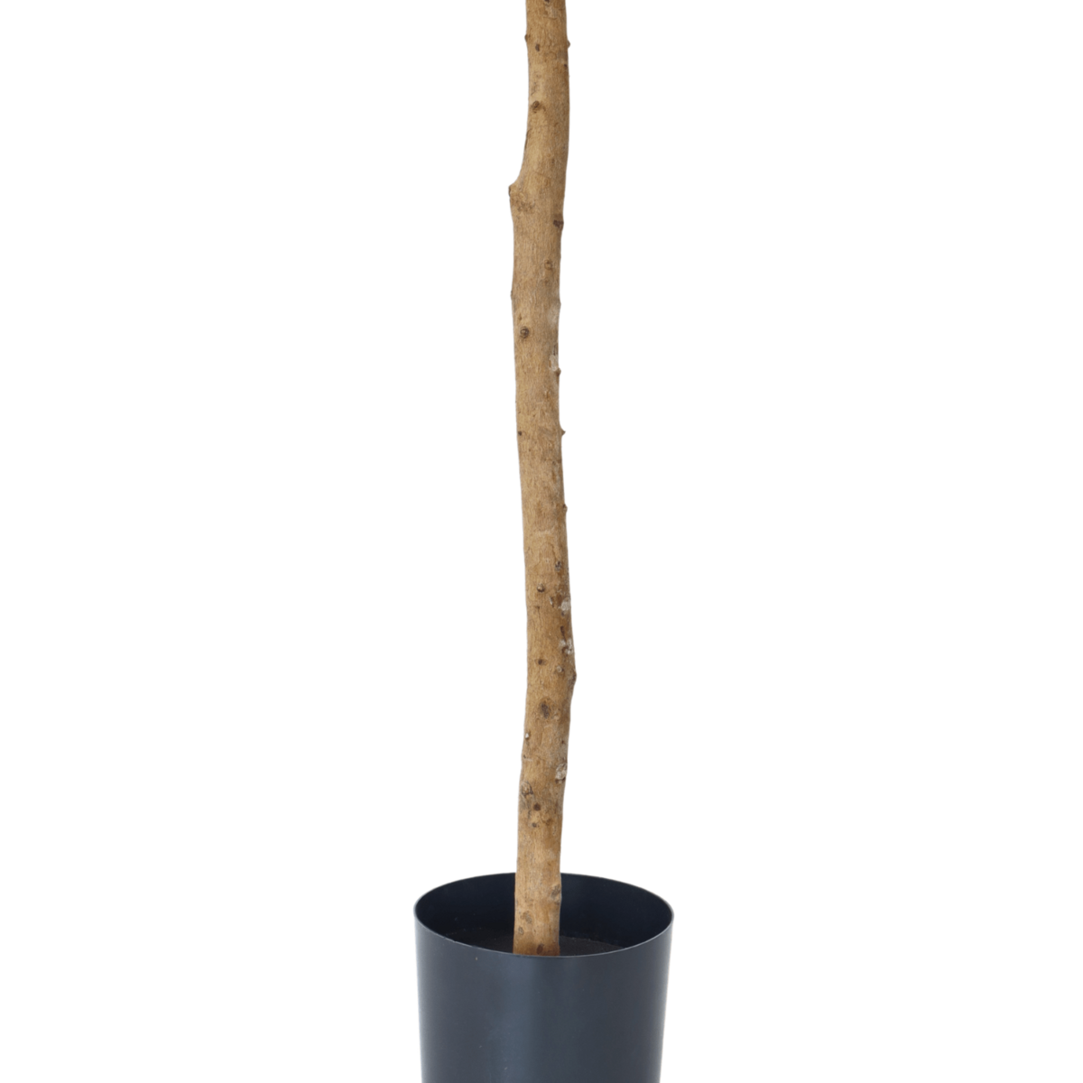 Künstlicher Olivenbaum 130 cm