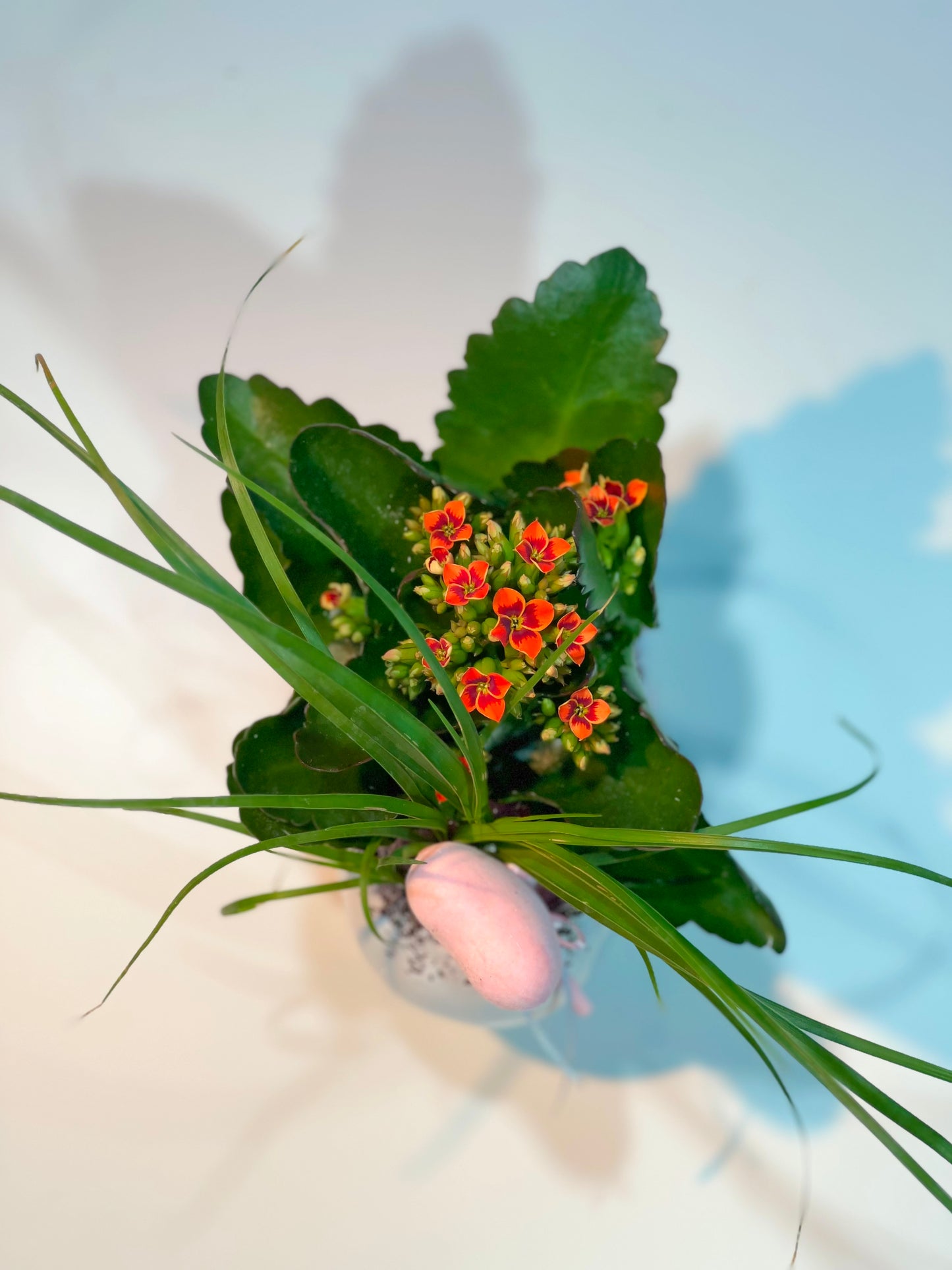 Sommerfreude Pflanzschale - Classic Floral