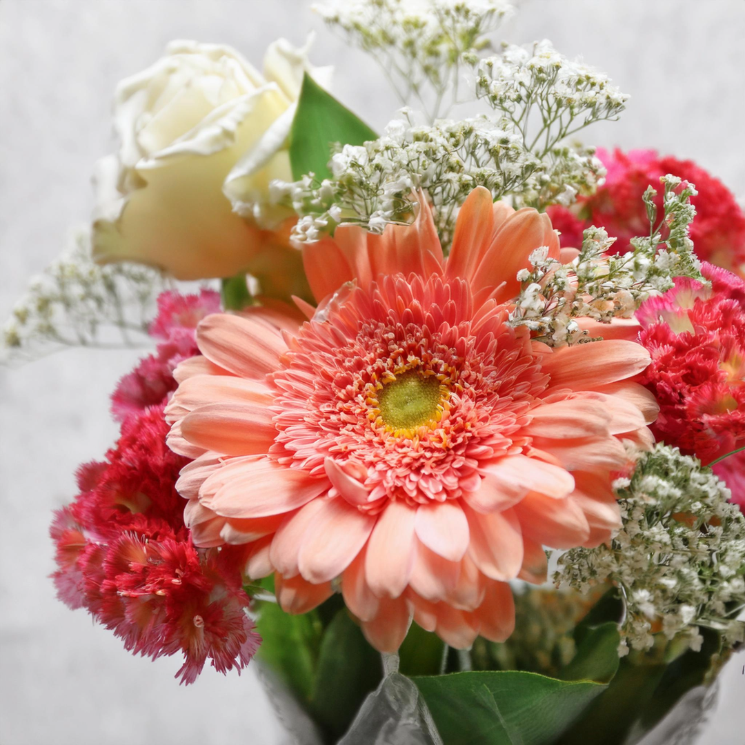 Blättertanz - Classic Floral