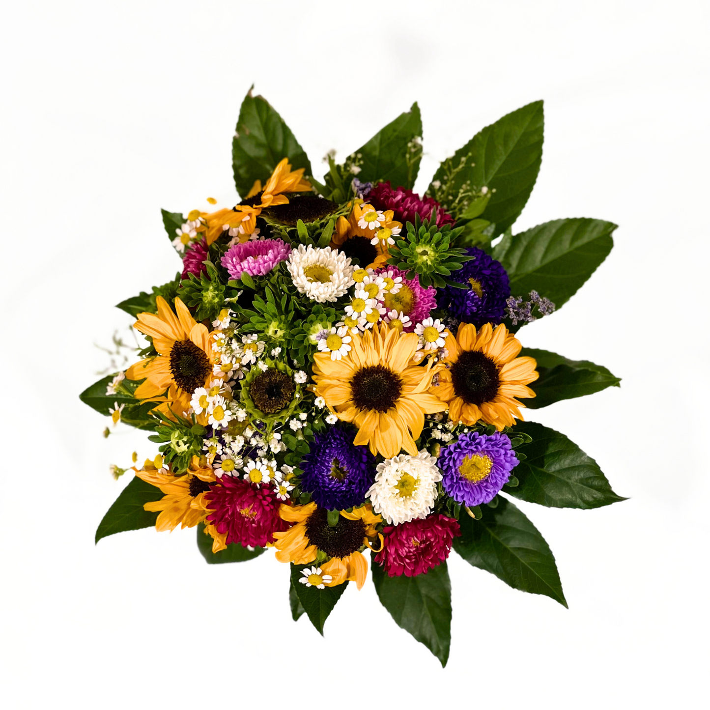 Sommersonne - Classic Floral