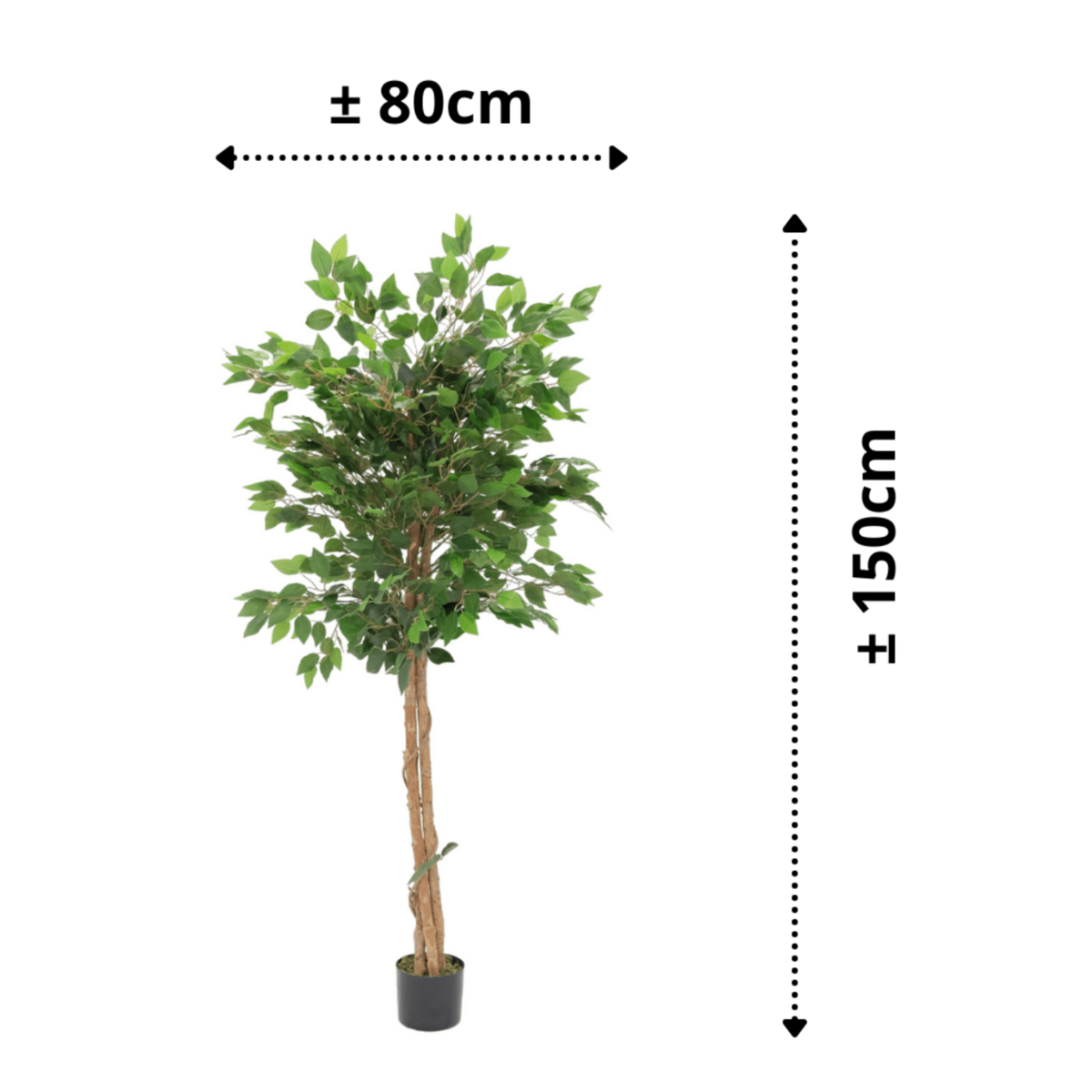 Künstlicher Ficus 150cm