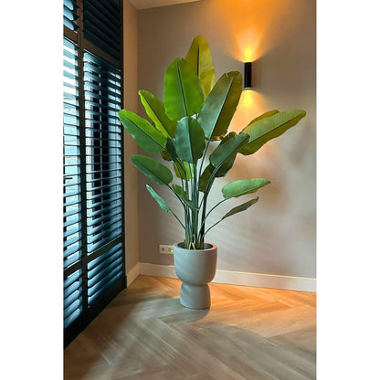 Strelitzia Kunstpflanze 180cm
