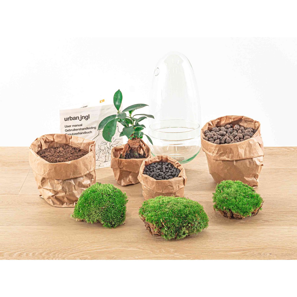 Terrarium-Bausatz – Eierbonsai – Flaschengarten – ↑ 25 cm