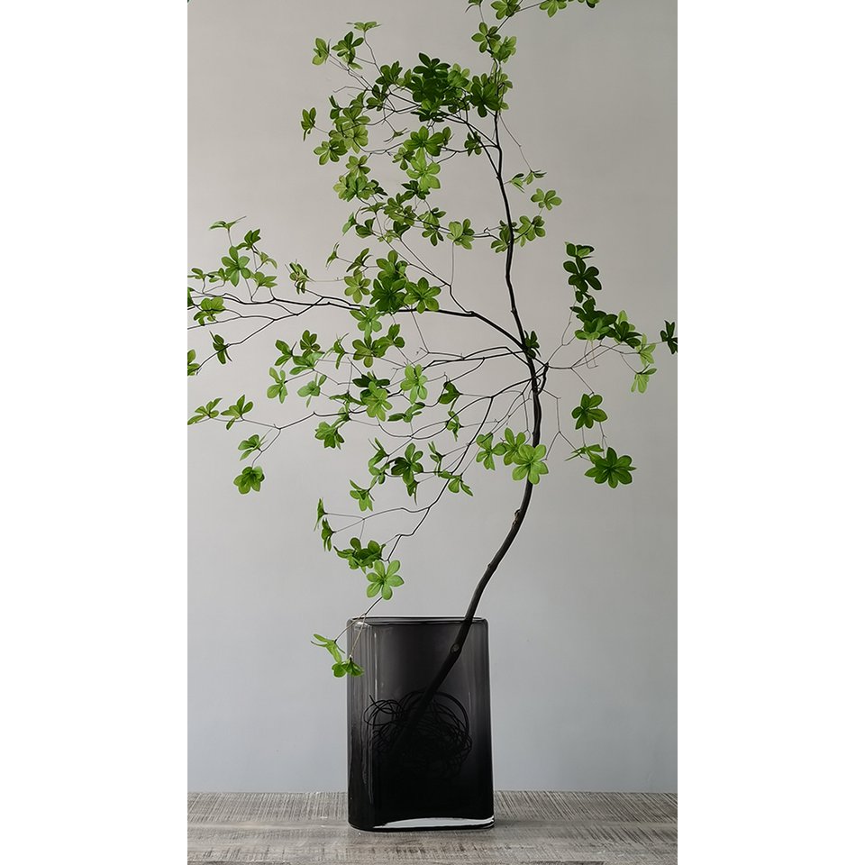 Glasvase asymmetrische Eichhörnchenform, Serie: BADEN