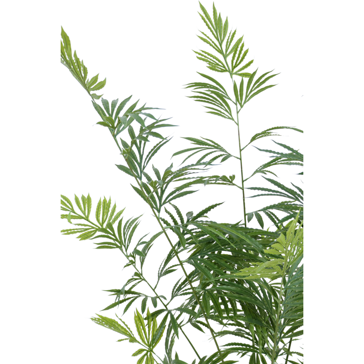 Künstlicher Palmfarn 160cm