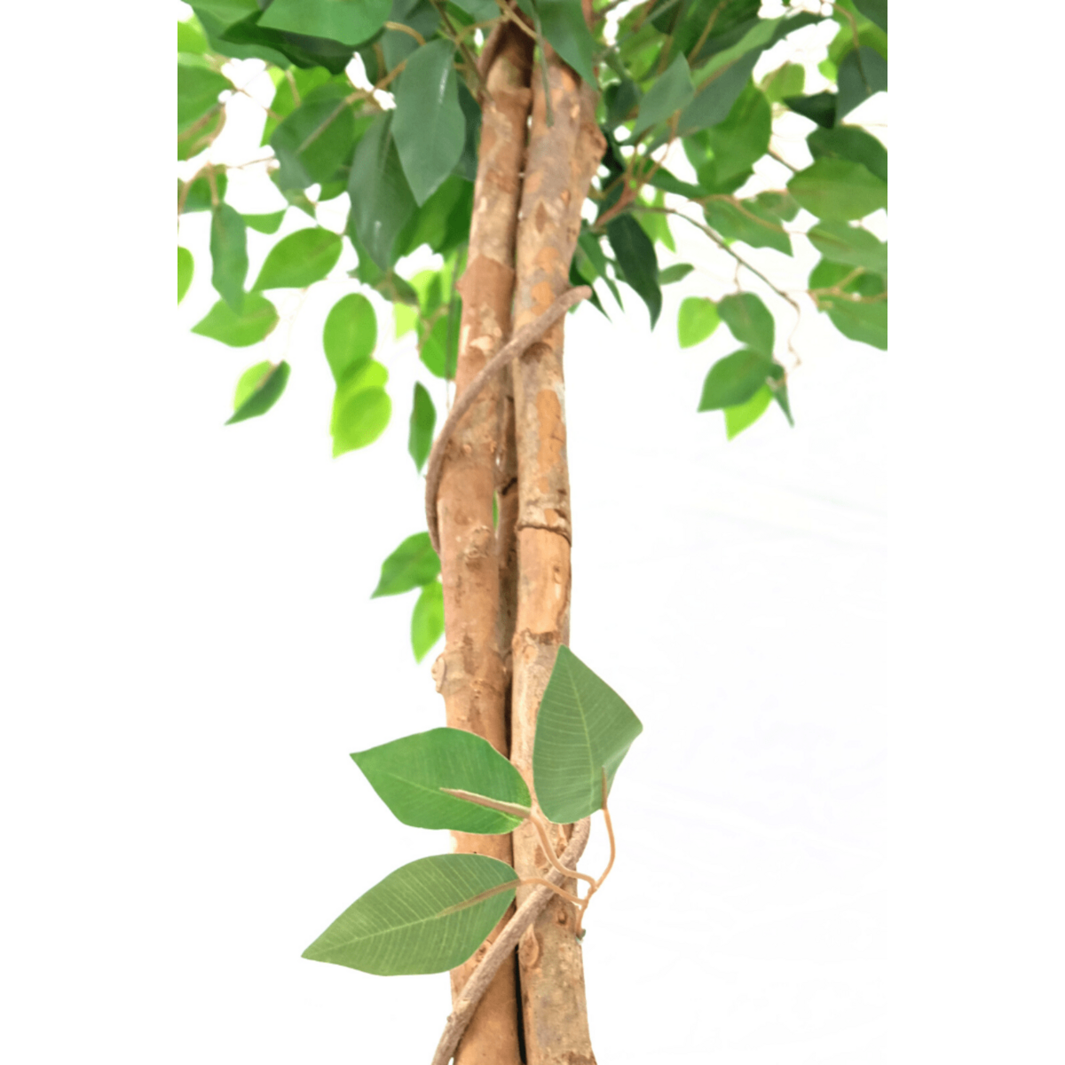 Künstlicher Ficus 150cm