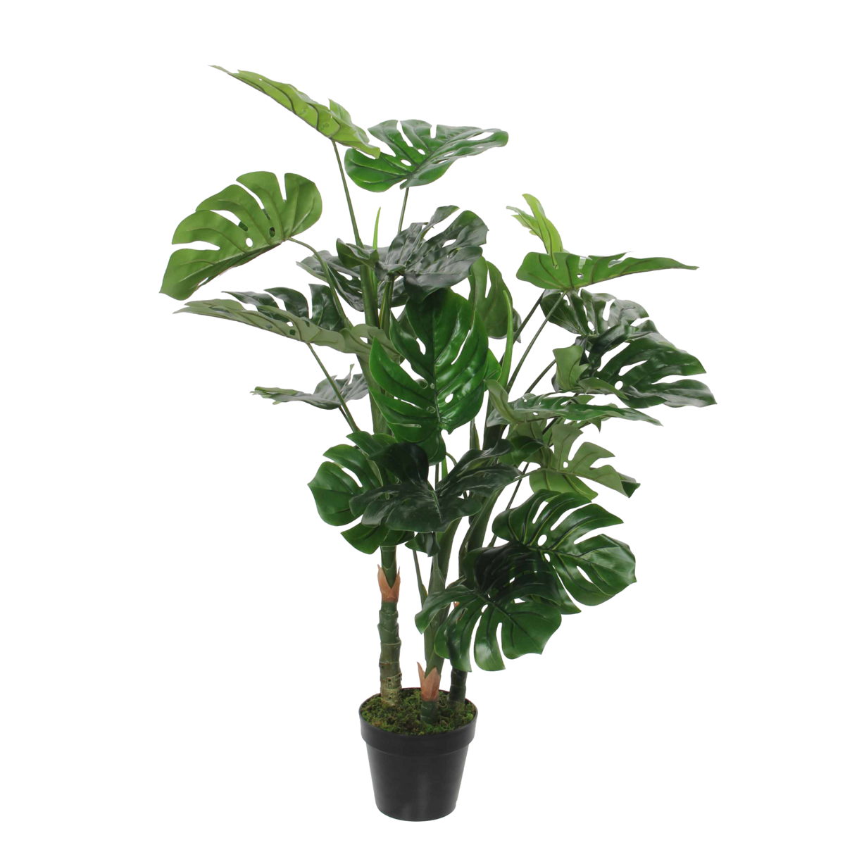 Künstliche Pflanze Monstera – H100 x Ø75 cm – Grün