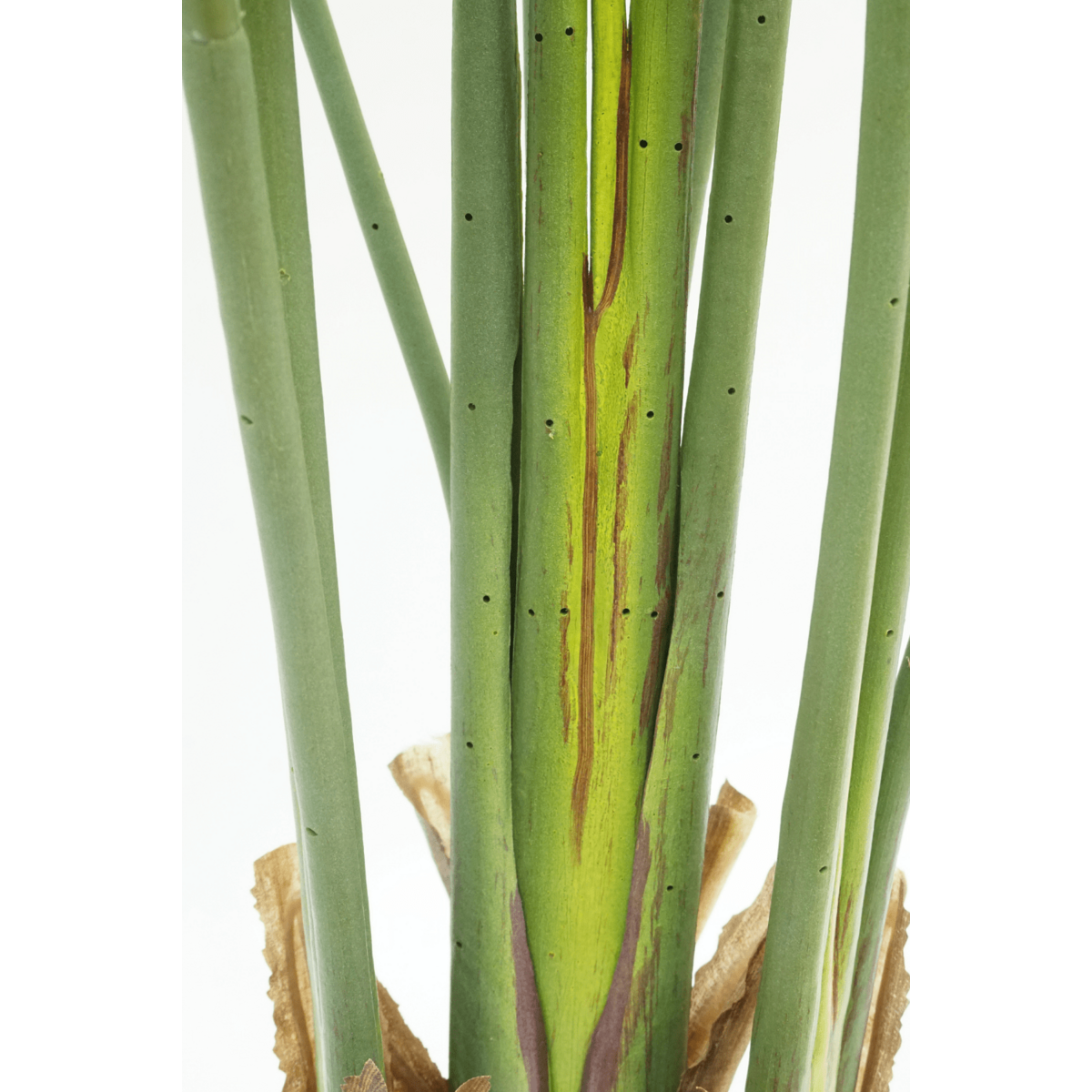 Strelitzia Kunstpflanze 160cm