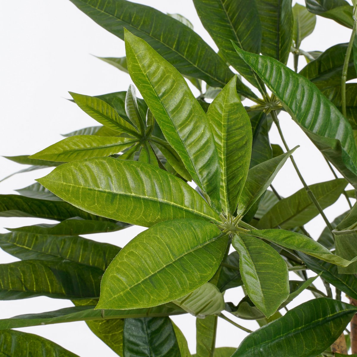 Künstliche Pflanze Pachira – H120 x Ø50 cm – Grün