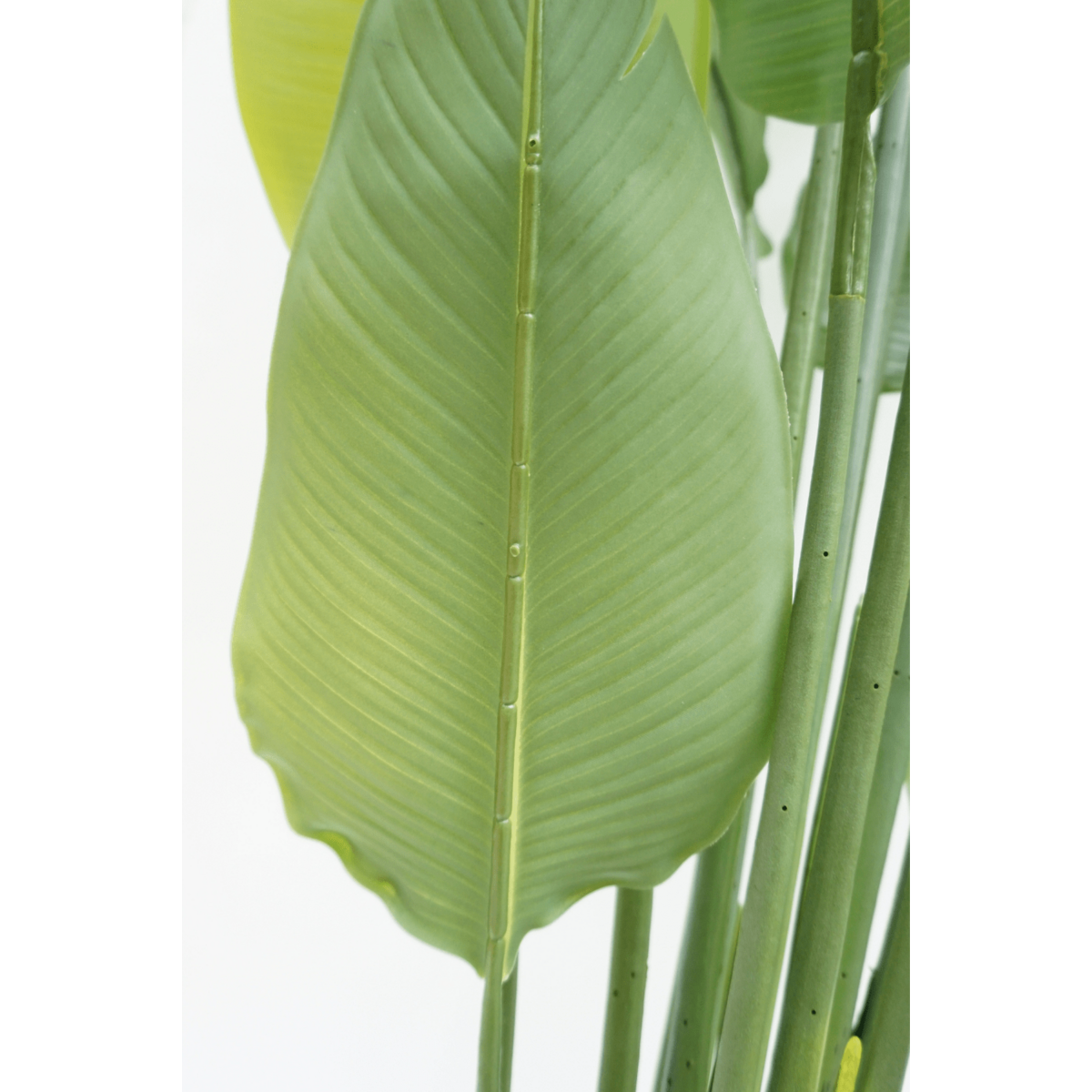 Strelitzia Kunstpflanze 180cm