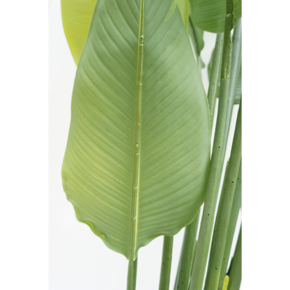 Strelitzia Kunstpflanze 180cm