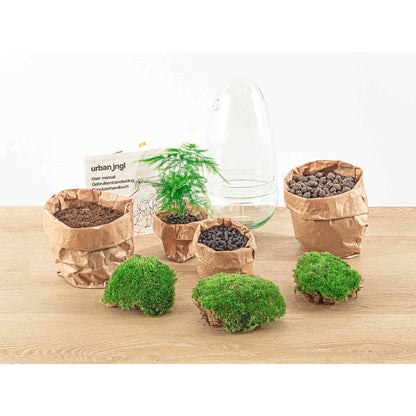 Terrarium-Bausatz – Eierbonsai – Flaschengarten – ↑ 25 cm