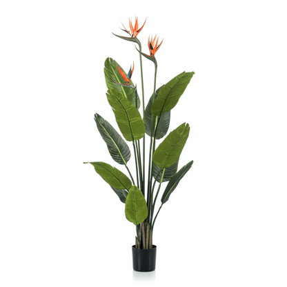 Strelitzia Kunstpflanze 120cm mit Blüte