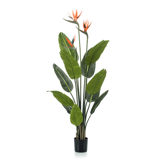 Strelitzia Kunstpflanze 120cm mit Blüte