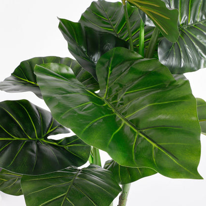 Künstliche Taro-Pflanze – H100 x Ø70 cm – Grün