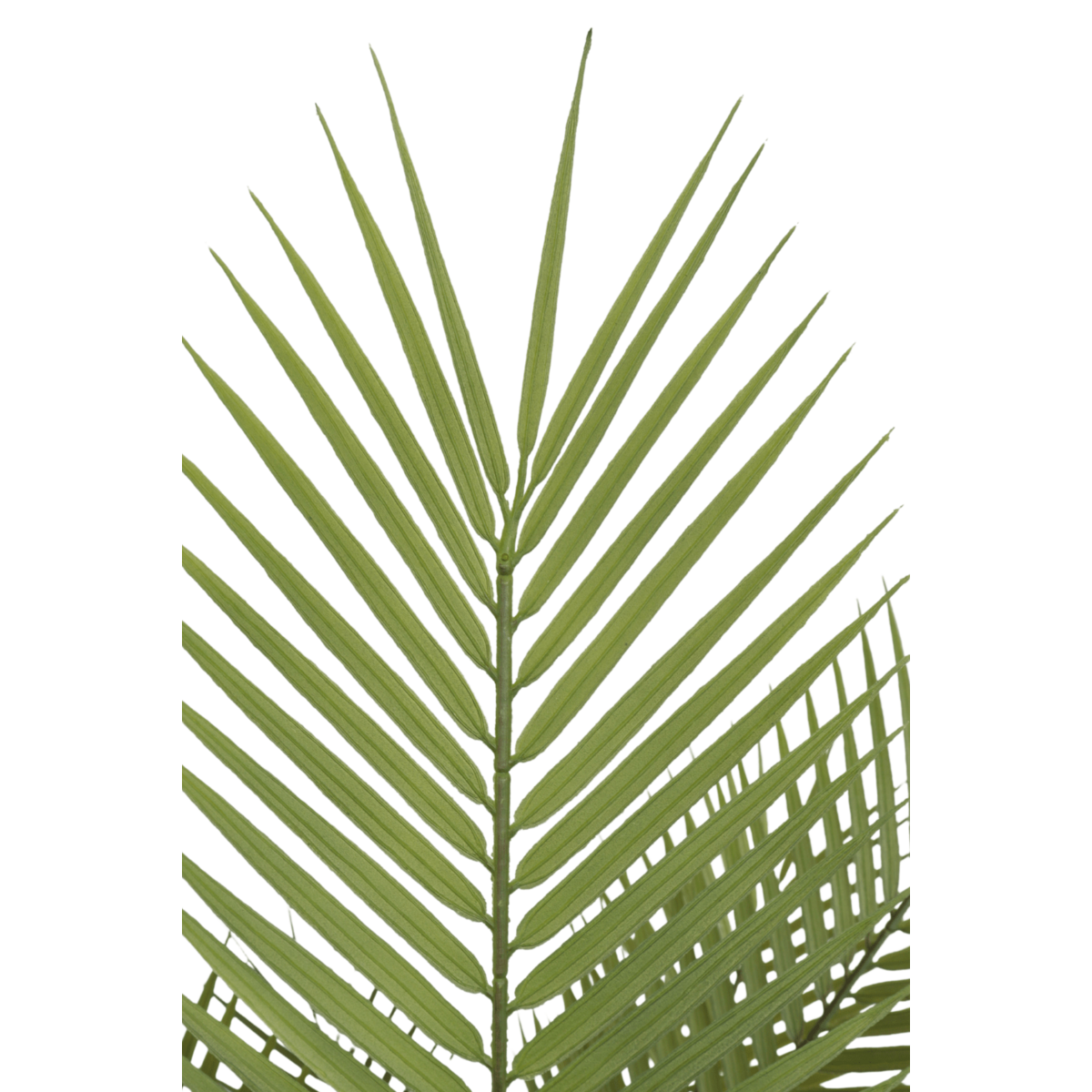 Künstliche Palme 150cm