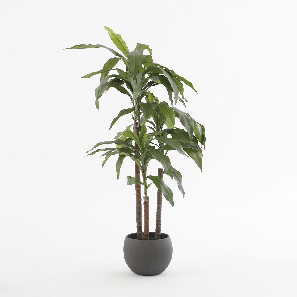 Künstliche Dracaena-Pflanze - H100 x Ø70 cm
