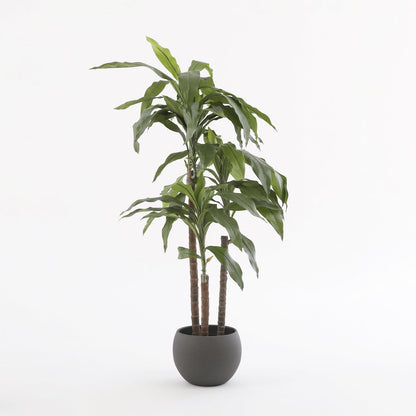 Künstliche Dracaena-Pflanze - H100 x Ø70 cm