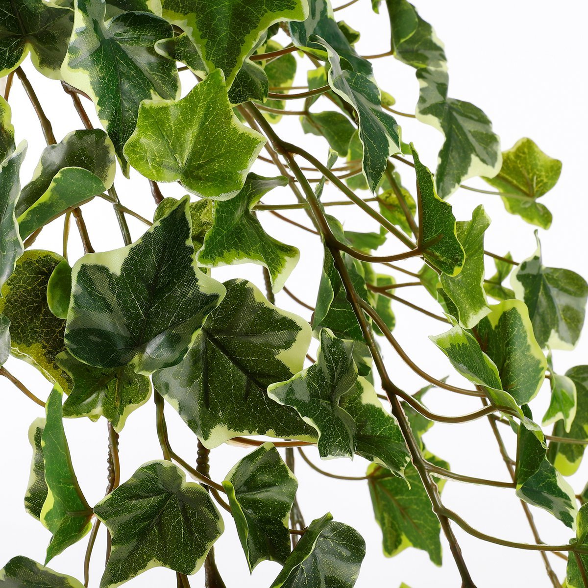 Hedera Künstliche Hängepflanze – H129 cm – Grün bunt