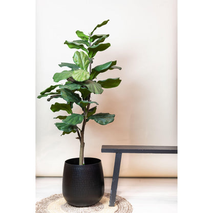 Künstliche Pflanze - Ficus Lyrata - Tabakpflanze - 125 cm
