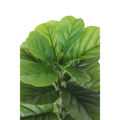 Ficus Kunstpflanze 100cm