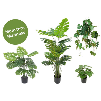 Monstera Madness - Künstliches Pflanzenpaket