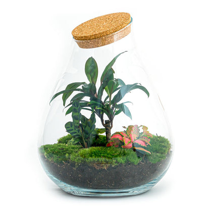 Terrarium-Bausatz – Drop XL Palme – Flaschengarten – ↑ 37 cm