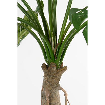 Künstliche Pflanze Monstera – H135 x Ø100 cm – Grün