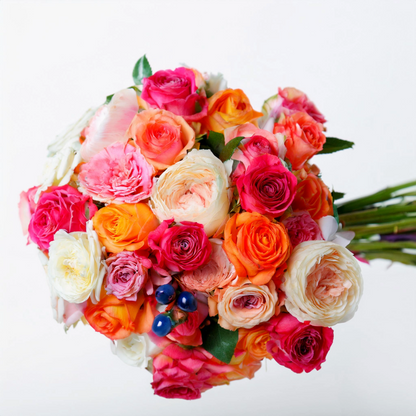 Strahlen der Sonne - Classic Floral