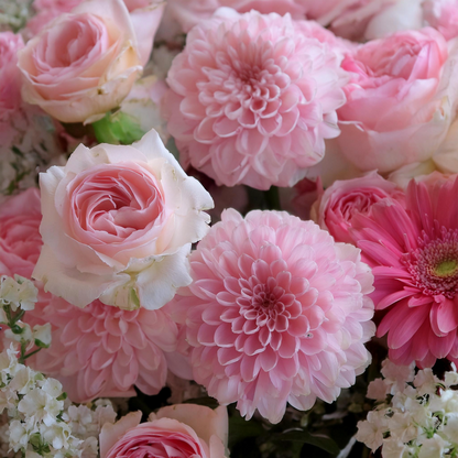 Korbtanz der Blüten