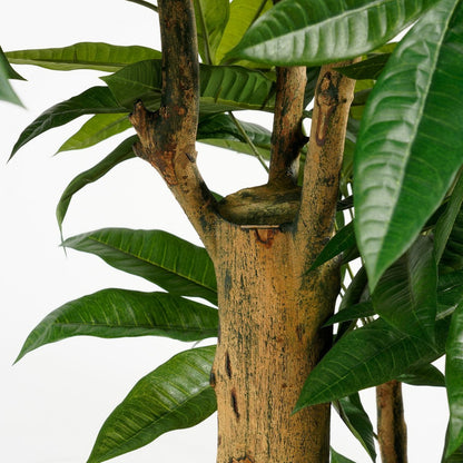 Künstliche Pflanze Pachira – H175 x Ø85 cm – Grün