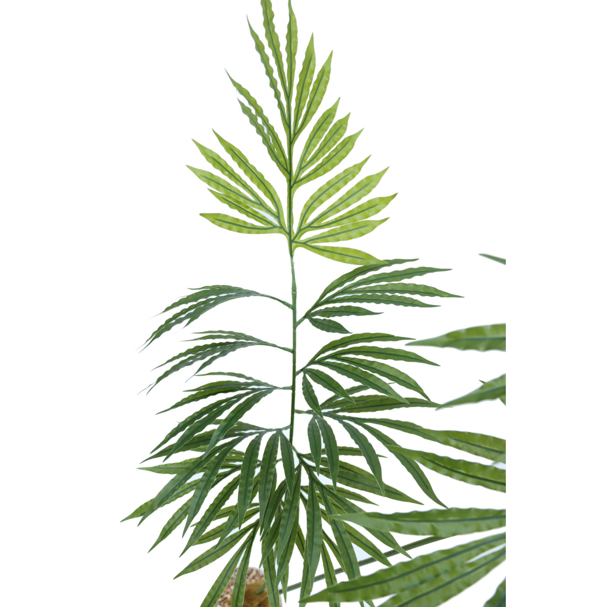 Künstlicher Palmfarn 160cm