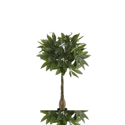 Kunstpflanze Pachira - H80 x Ø60 cm - Grün
