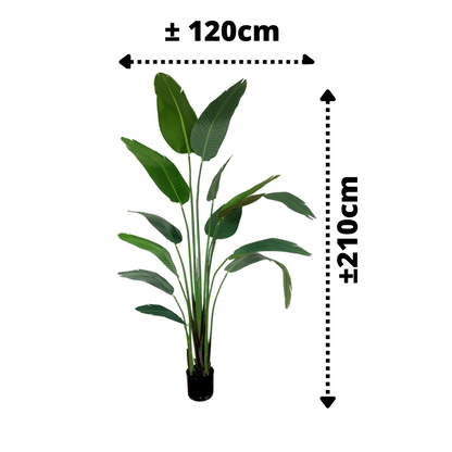 Künstliche Strelitzia-Pflanze 210 cm