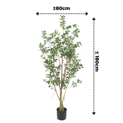 Ficus Kunstpflanze 180cm