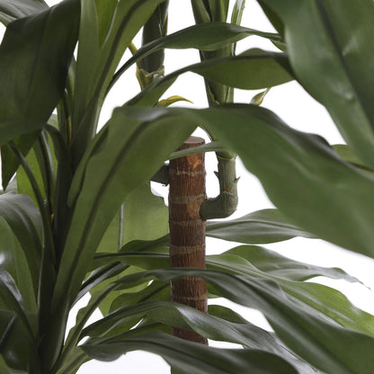 Künstliche Dracaena-Pflanze - H100 x Ø70 cm