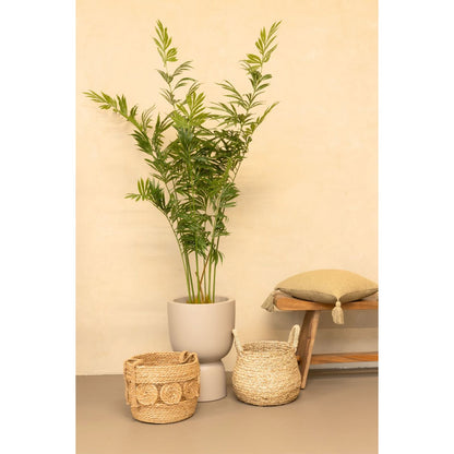 Künstlicher Palmfarn 160cm