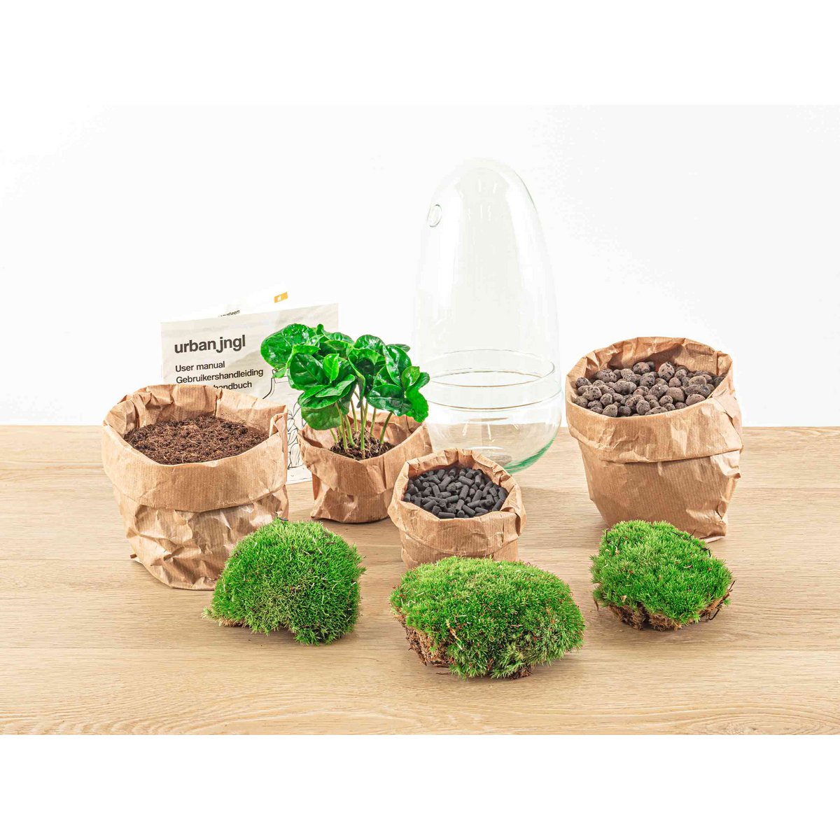 Terrarium-Bausatz – Eierbonsai – Flaschengarten – ↑ 25 cm