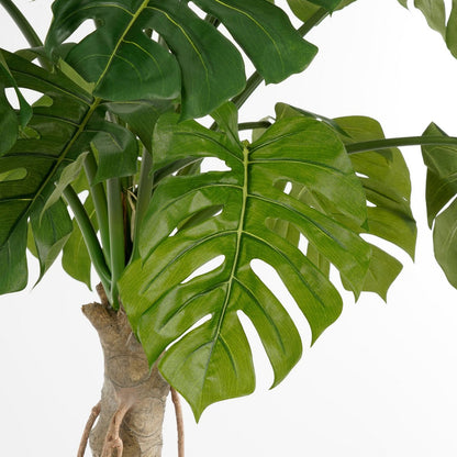 Künstliche Pflanze Monstera – H135 x Ø100 cm – Grün