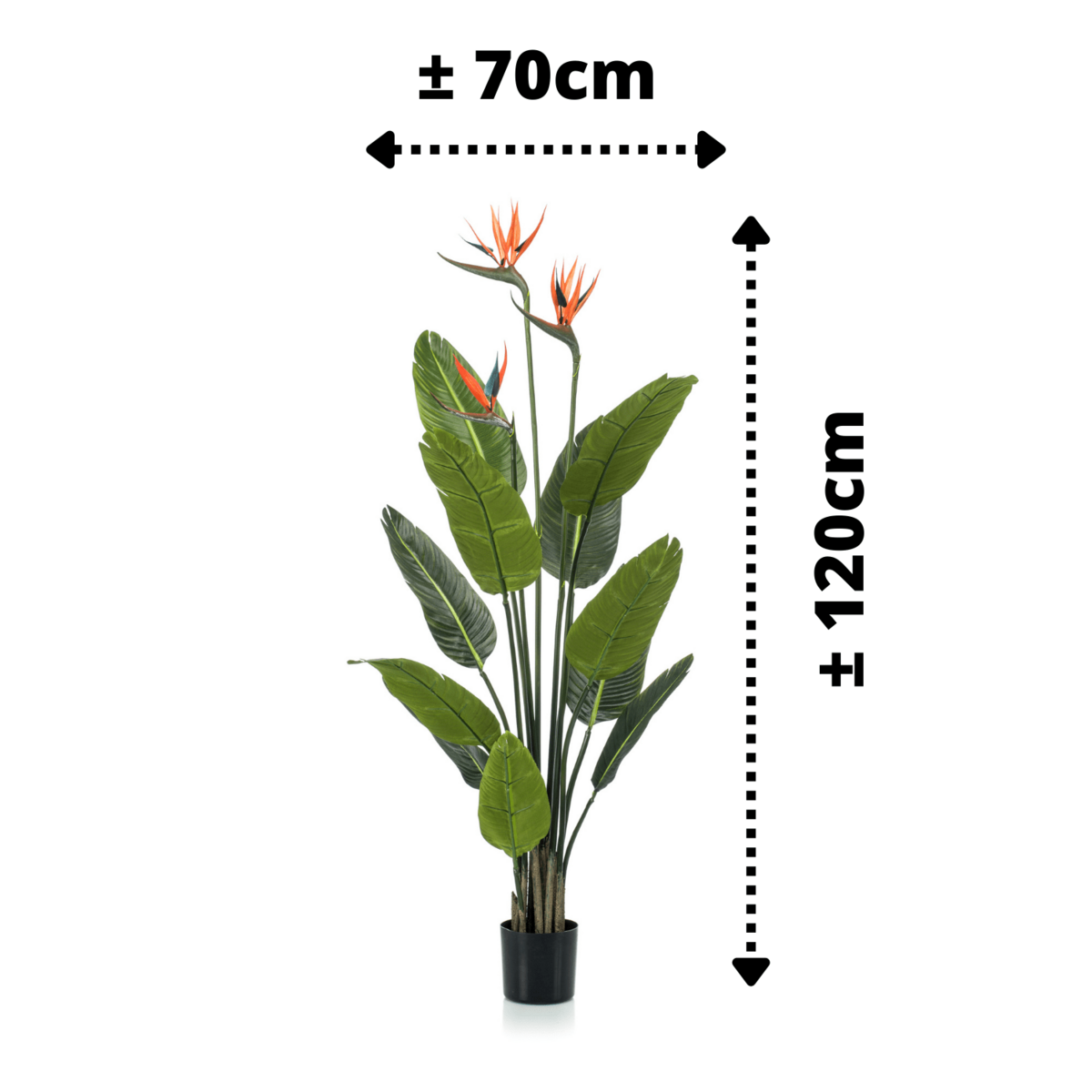 Strelitzia Kunstpflanze 120cm mit Blüte