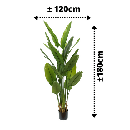 Strelitzia Kunstpflanze 180cm