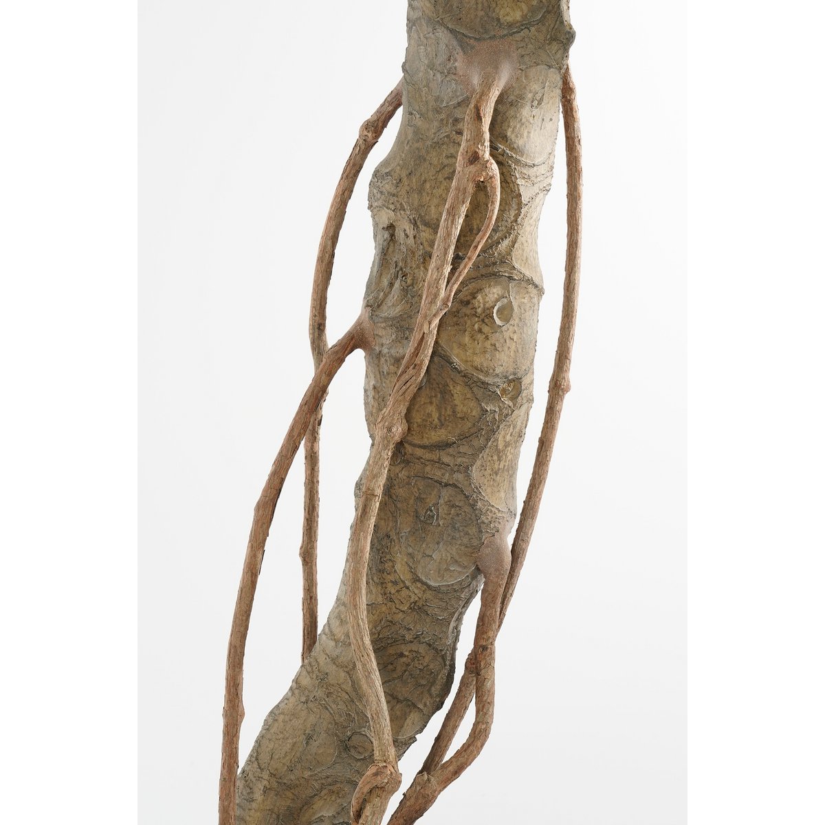 Künstliche Pflanze Monstera – H135 x Ø100 cm – Grün