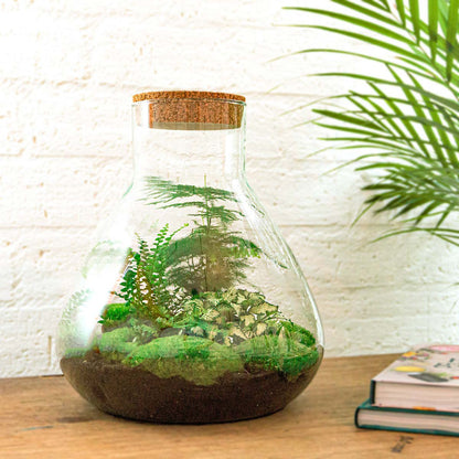 Terrarium-Bausatz – Sam XL – Flaschengarten – ↑ 35 cm