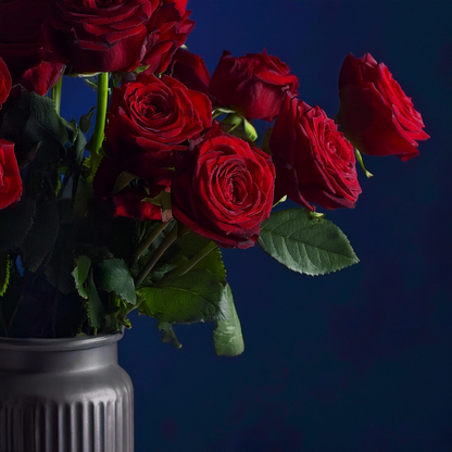 Flammen der Leidenschaft